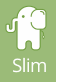 technology slim