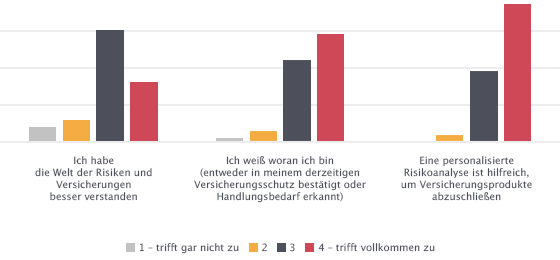 riskine Beta-Version Auswertung